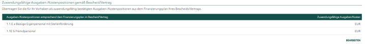 Screenshot der Tabelle mit Ausgaben- und Kostenpositionen