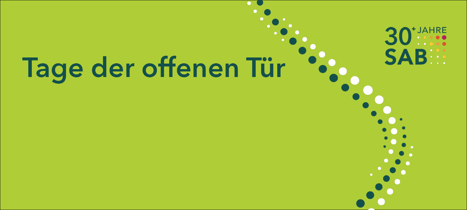 Symbolbild zum Thema Energie: Ein Solarteur steht inmitten einer Photovoltaik-Anlage mit einem Laptop in der Hand.
